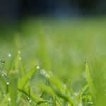 保育園を増やすには景気回復が必須