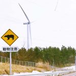 星野社長の洋上風力発電の魅力と今後の課題
