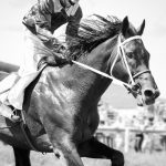 的中率を上げるために競馬情報サイトを活用しよう
