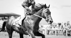 的中率を上げるために競馬情報サイトを活用しよう
